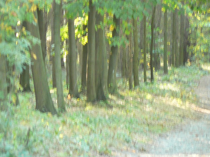img00053.jpg
