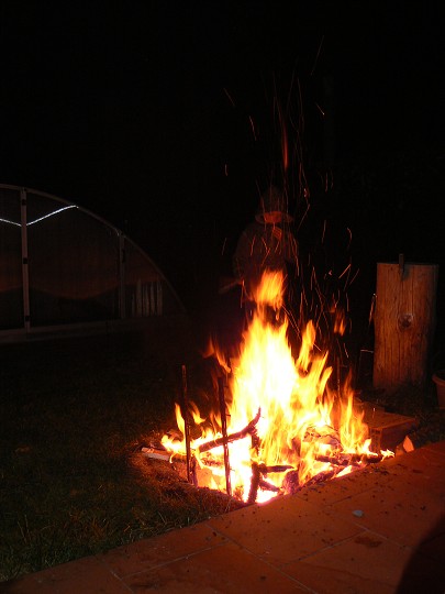 img00055.jpg