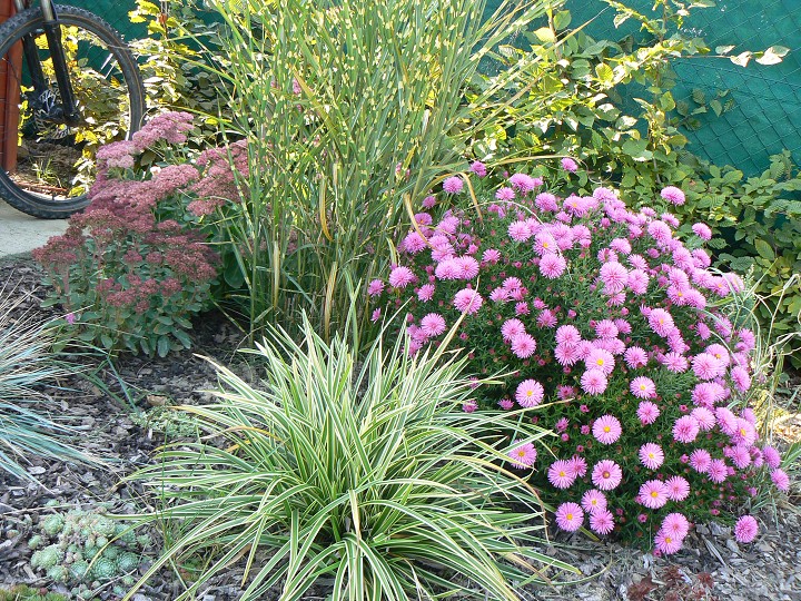 img00064.jpg