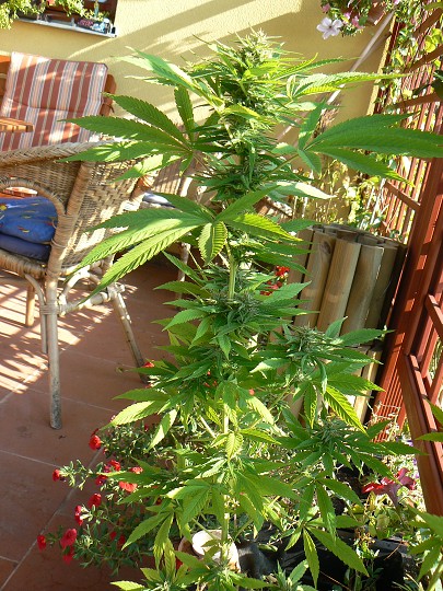 img00067.jpg
