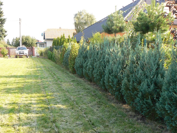 img00070.jpg