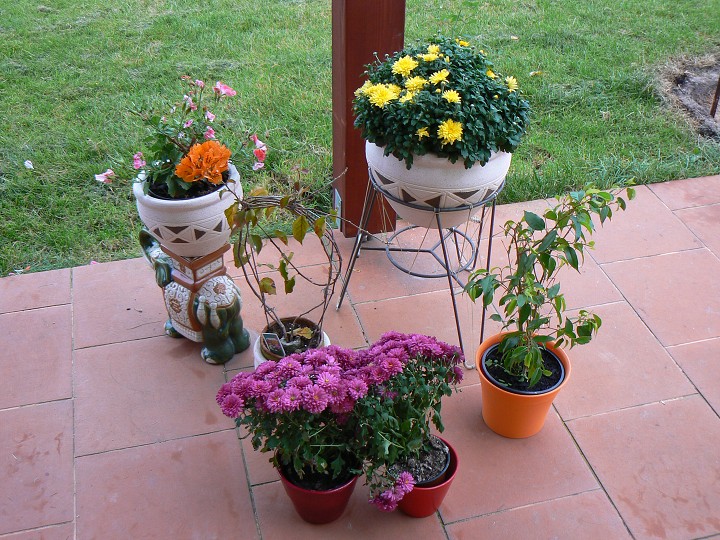 img00080.jpg