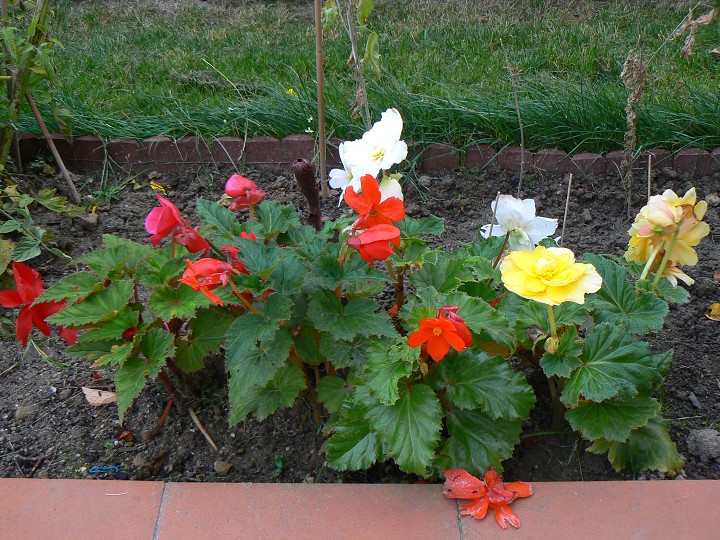 img00082.jpg