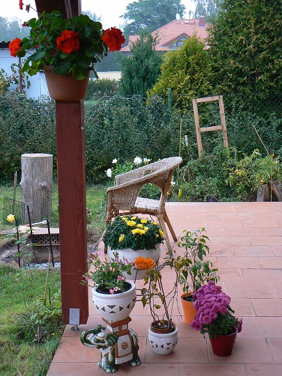 img00096.jpg