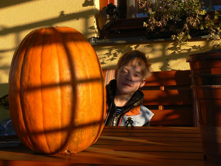 img00115.jpg