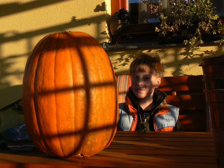 img00116.jpg