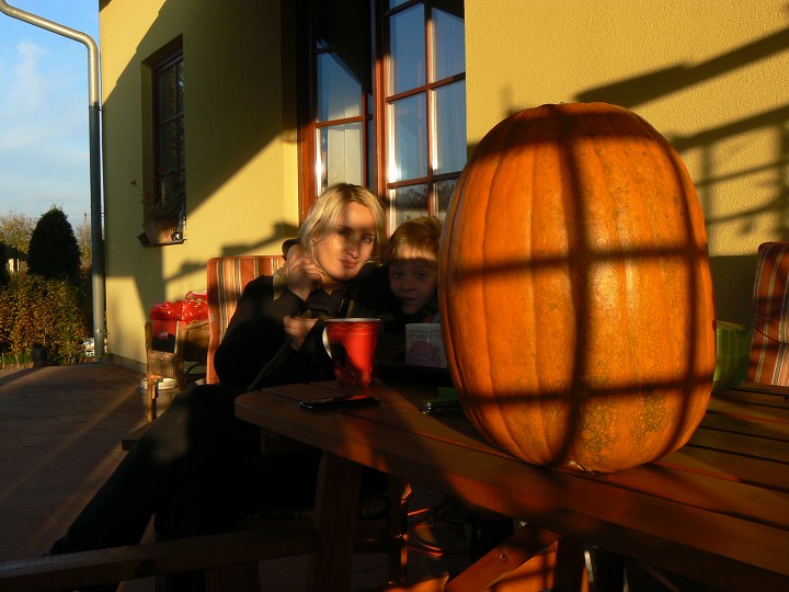 img00125.jpg