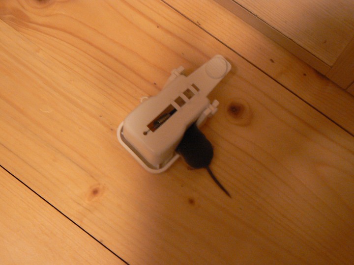 img00127.jpg