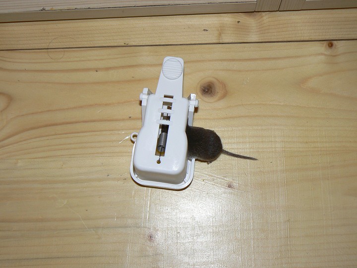 img00128.jpg