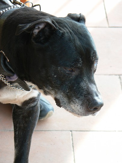 img00040.jpg