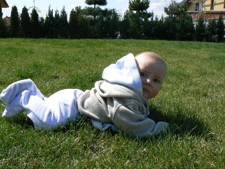 img00060.jpg
