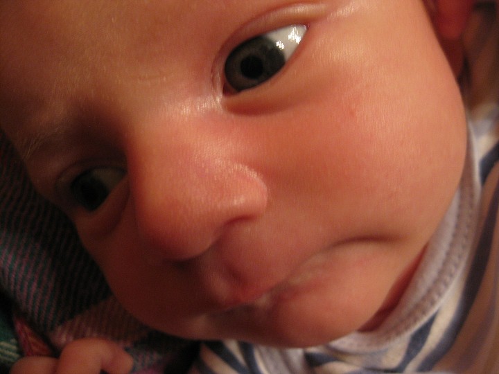 img00025.jpg