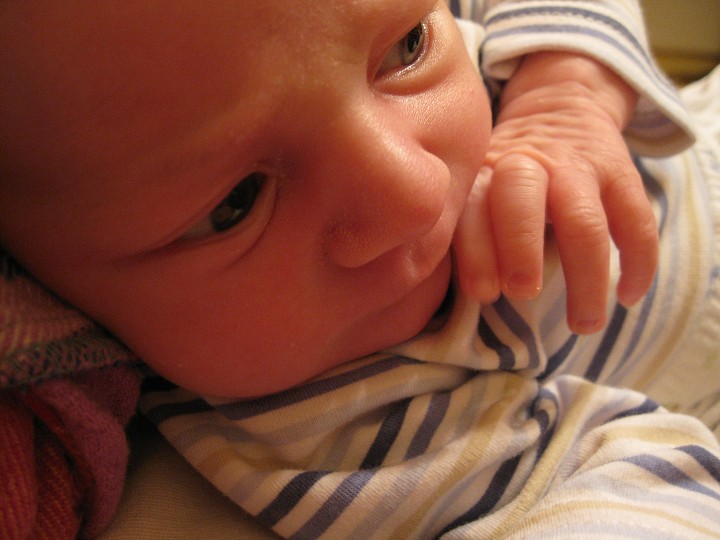 img00029.jpg
