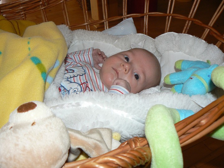 img00072.jpg
