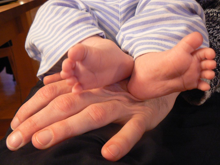 img00079.jpg