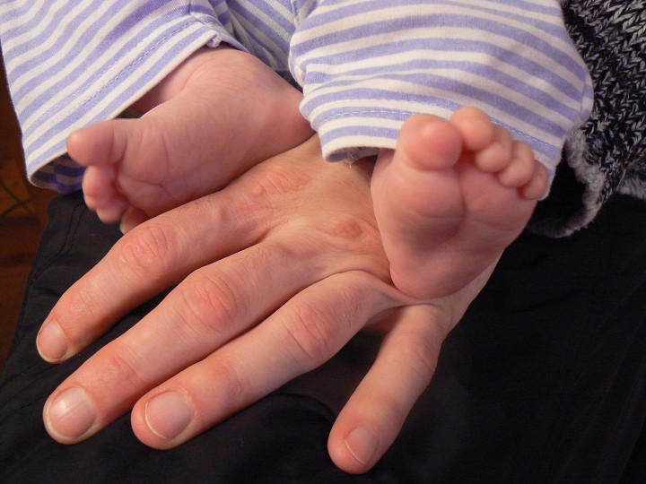 img00080.jpg