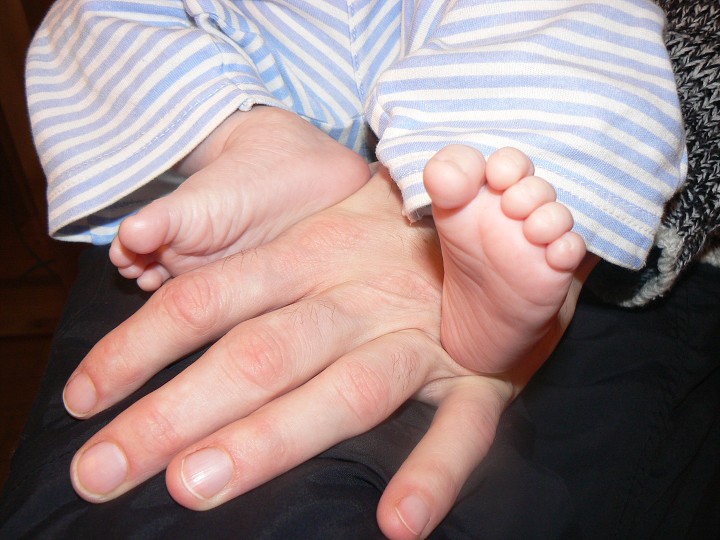 img00081.jpg