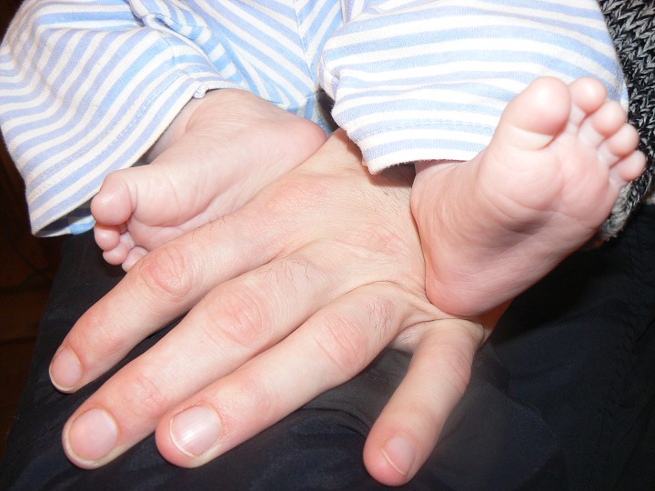 img00082.jpg
