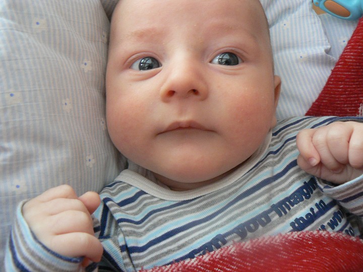 img00089.jpg