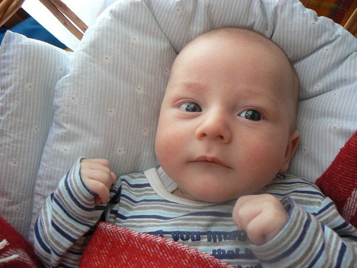 img00090.jpg