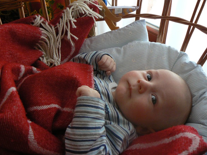 img00092.jpg