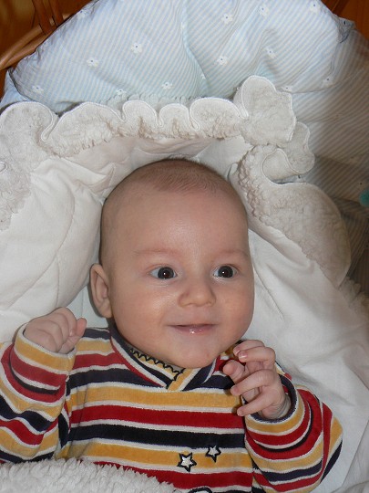 img00108.jpg
