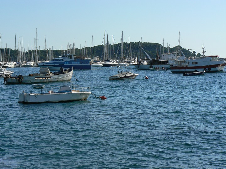 img00066.jpg
