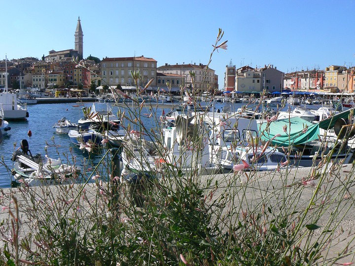 img00067.jpg