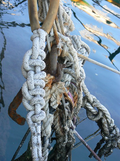 img00102.jpg