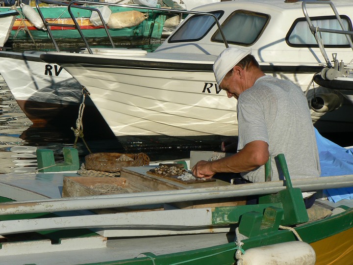 img00103.jpg