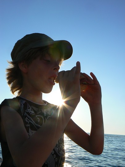img00115.jpg