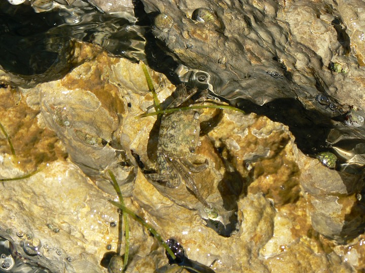 img00141.jpg