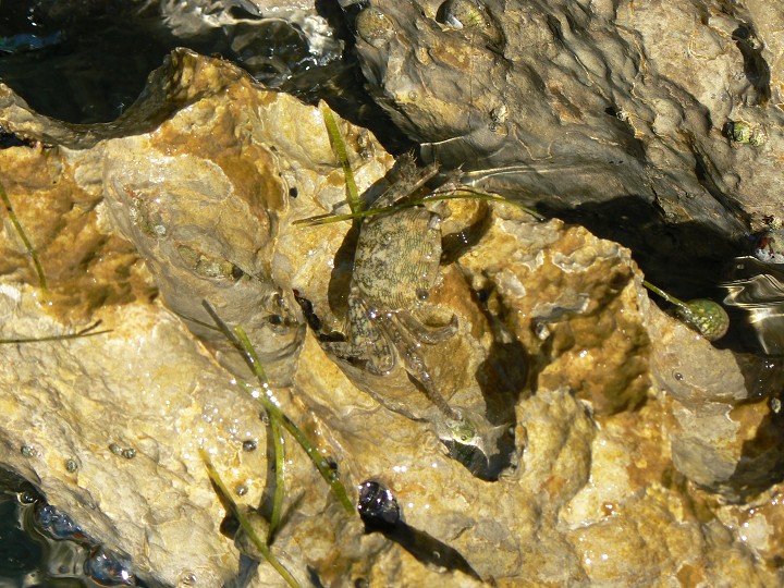 img00142.jpg