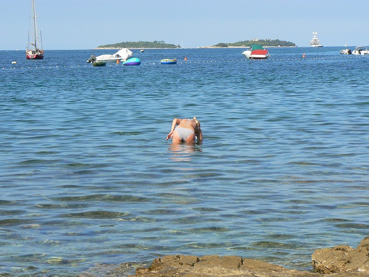 img00147.jpg