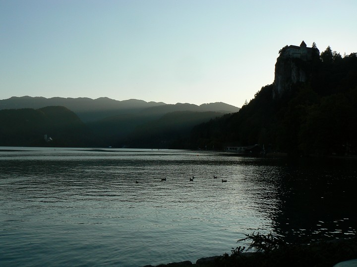img00170.jpg
