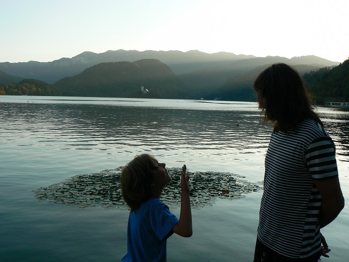 img00173.jpg