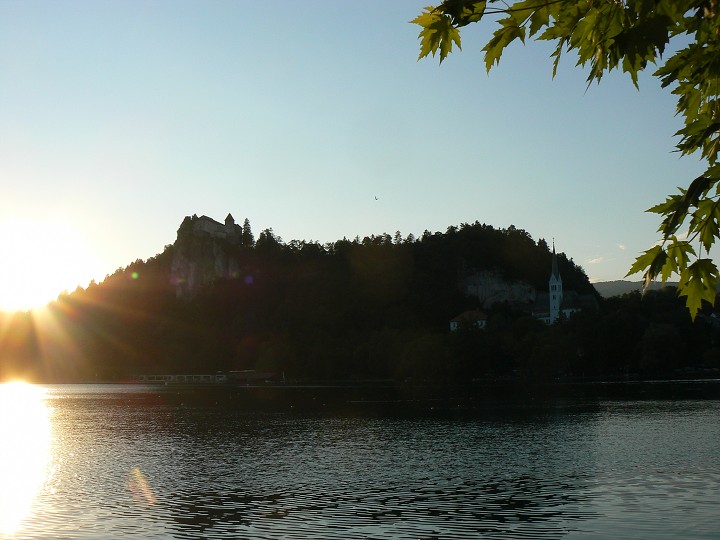 img00181.jpg