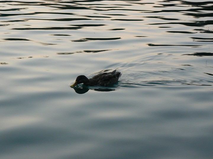 img00192.jpg