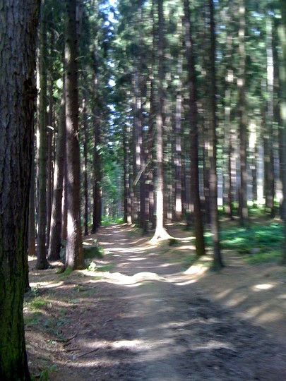 img00064.jpg