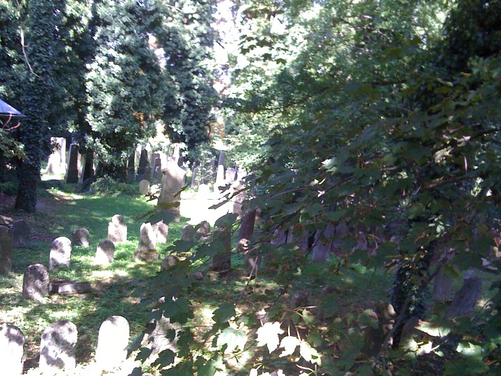 img00077.jpg