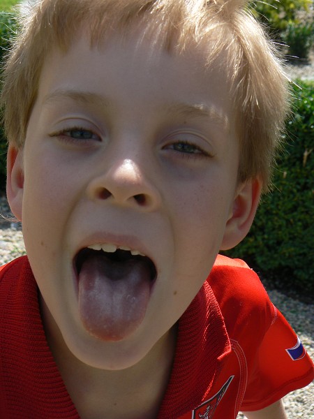 img00044.jpg