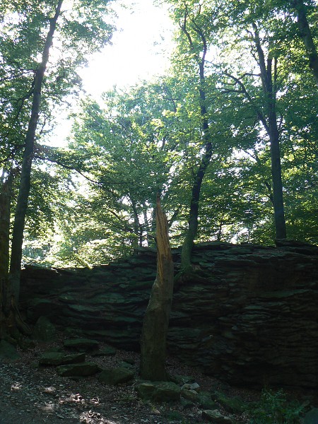 img00094.jpg