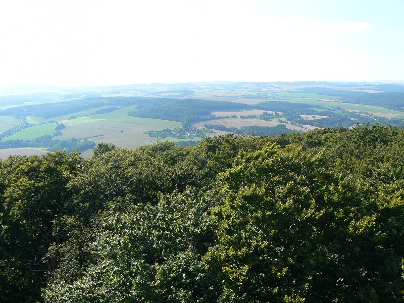 img00095.jpg