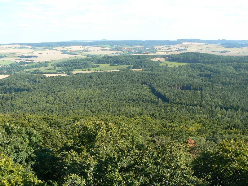img00096.jpg