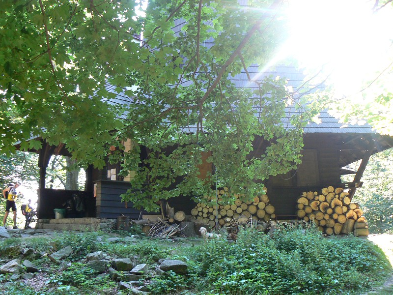 img00102.jpg