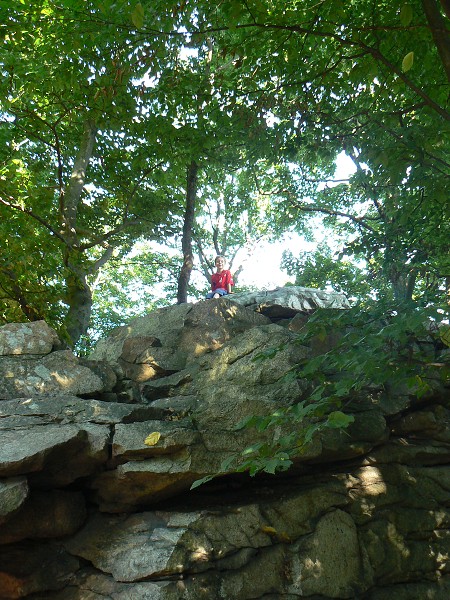 img00104.jpg