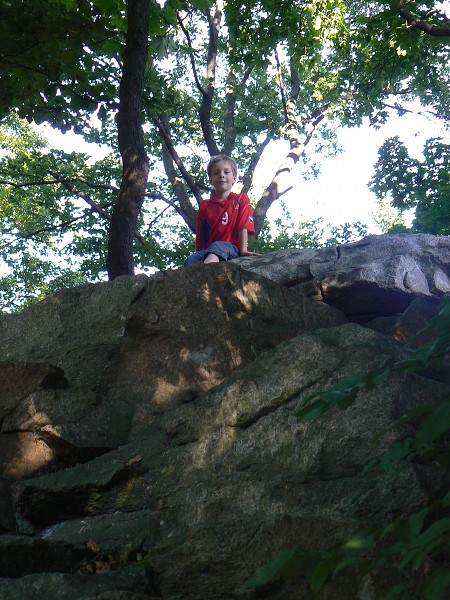 img00105.jpg