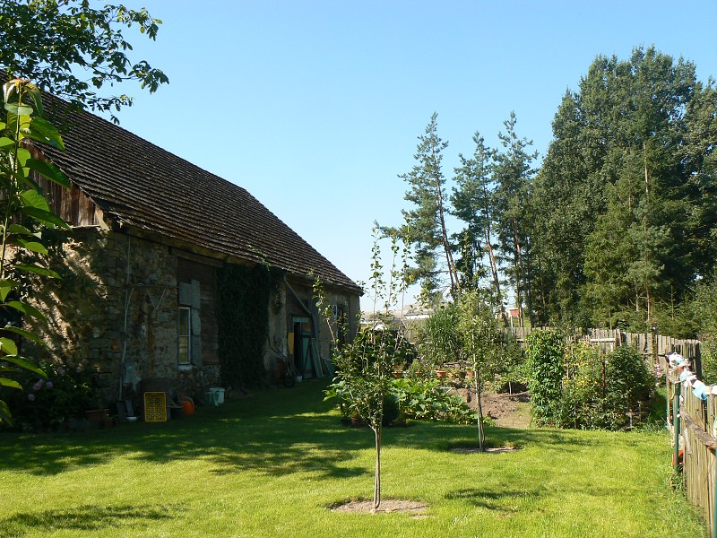 img00119.jpg