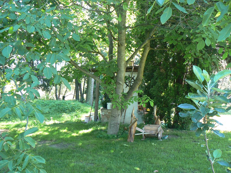 img00121.jpg