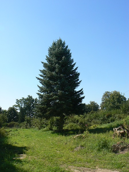 img00128.jpg